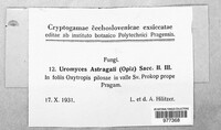 Image Associated With the Occurence
